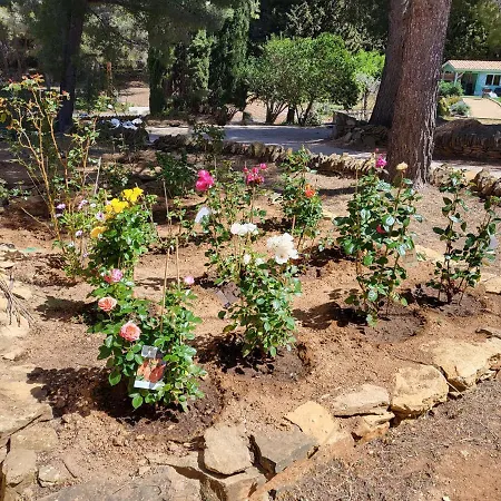 Privee, Piscine, Pool House, Cuisine D'ete *